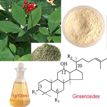 Panax Ginseng Extract